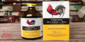 B12 6000 là loại thuốc bổ đem lại nhiều tác dụng cho chiến kê